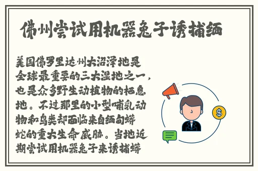 欧洲无线一线二线三w9